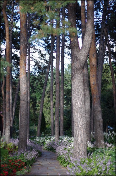 Munsinger Gardens in St. Cloud, MN