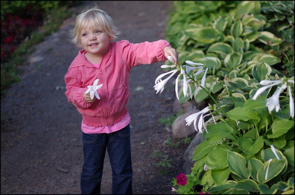 Munsinger Gardens in St. Cloud, MN