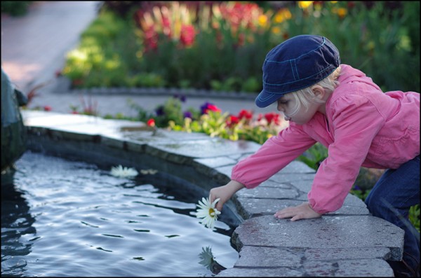 Munsinger Gardens in St. Cloud, MN