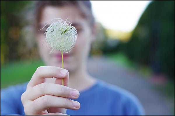 Andi and the Lorax plant